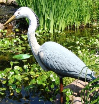buy Aquascape Adult Male Blue Heron Decoy For Water Garden & Pond Predator Control